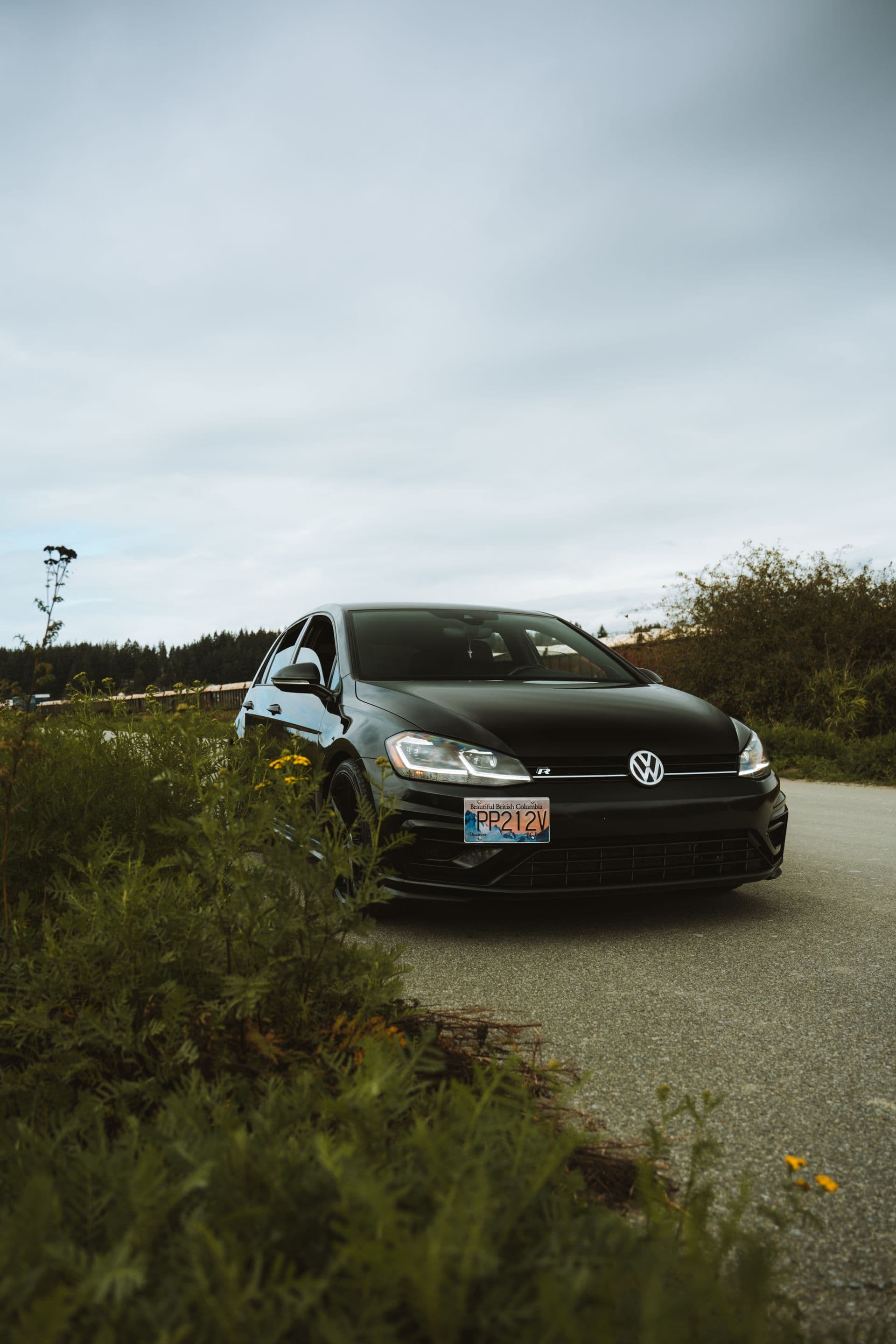Volkswagen Golf occasion