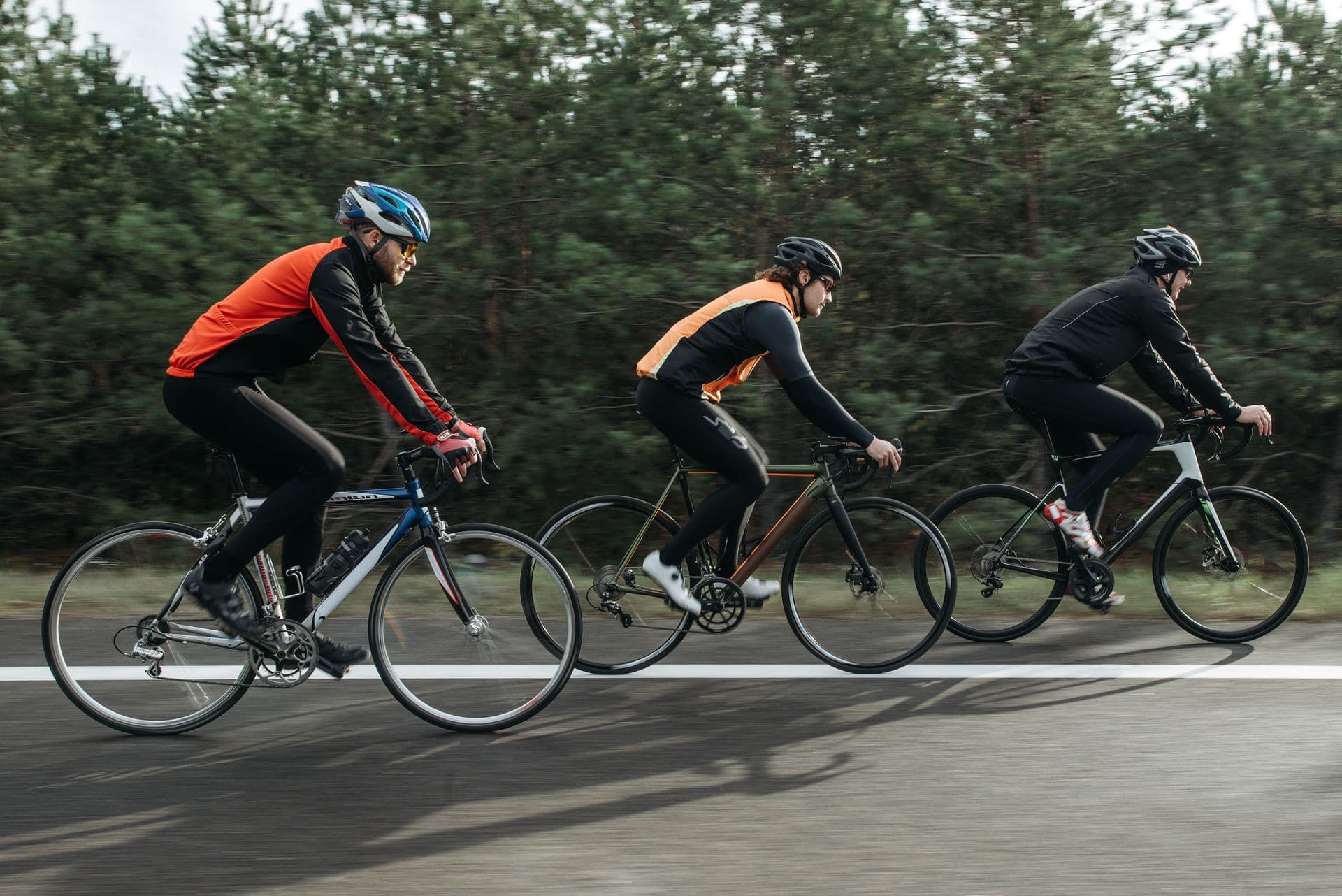 Racefietsen onderweg op de Veluwe