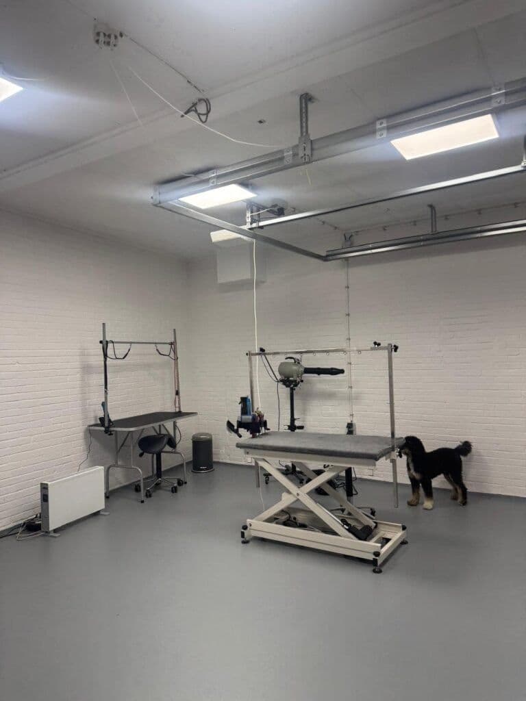 Demo-website voor een trimsalon in Bennekom