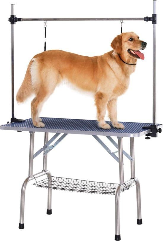 Geknipte hond na de trimbeurt