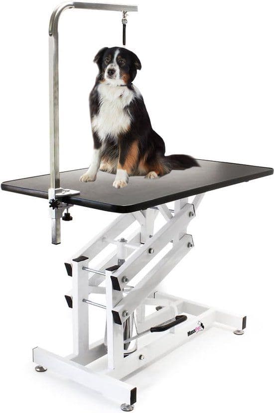 Hond wordt getrimd in de salon